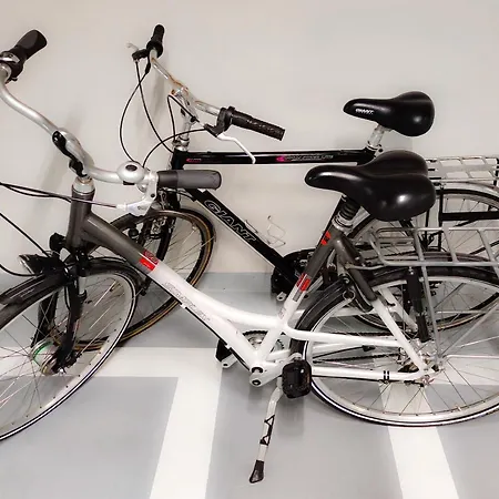 Sunrise - Lighthouse Daire *